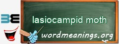 WordMeaning blackboard for lasiocampid moth